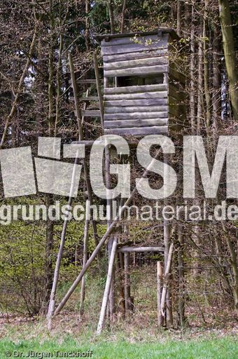 Hochstände (79 von 154).jpg